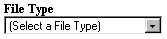 File Type