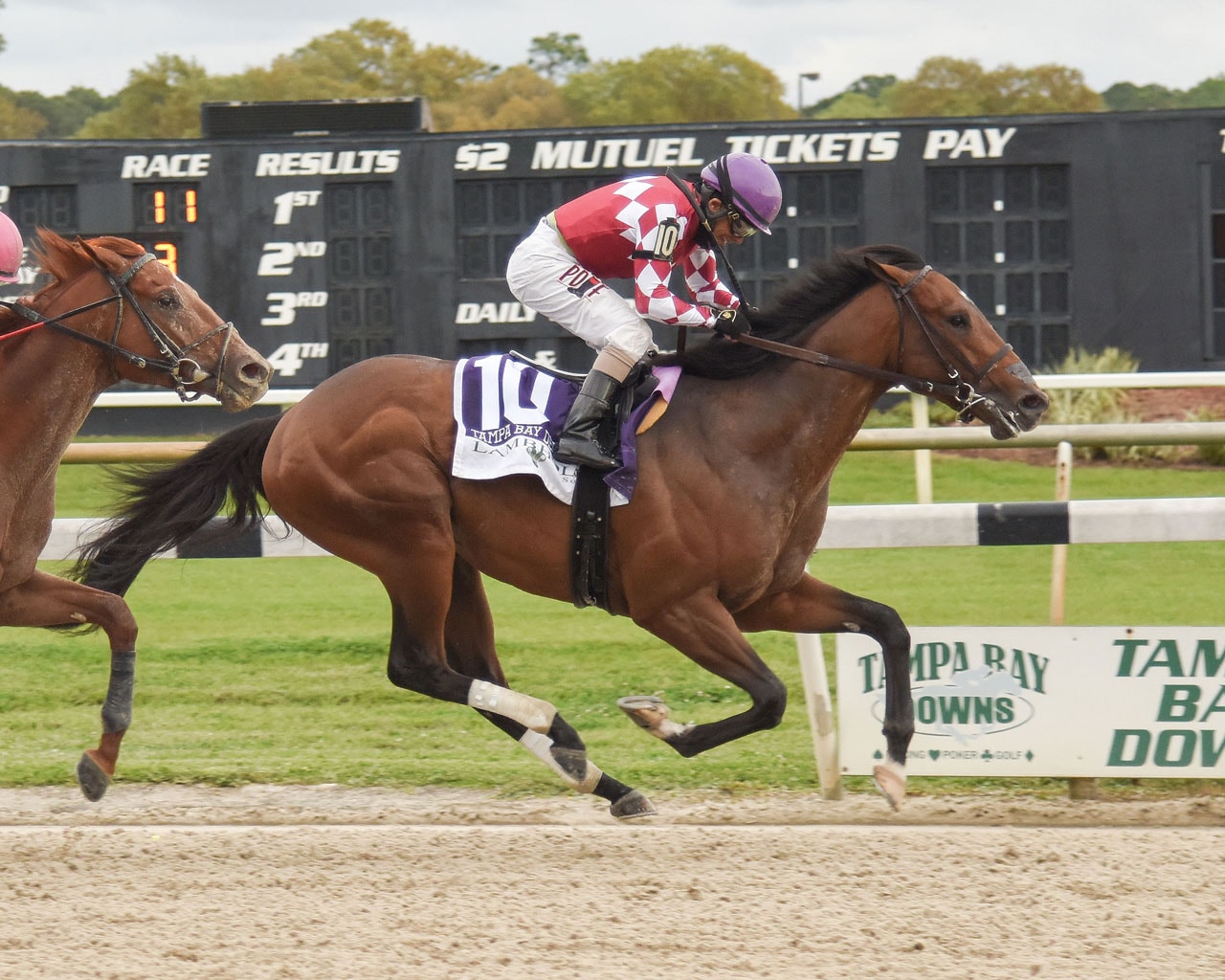 alternative text