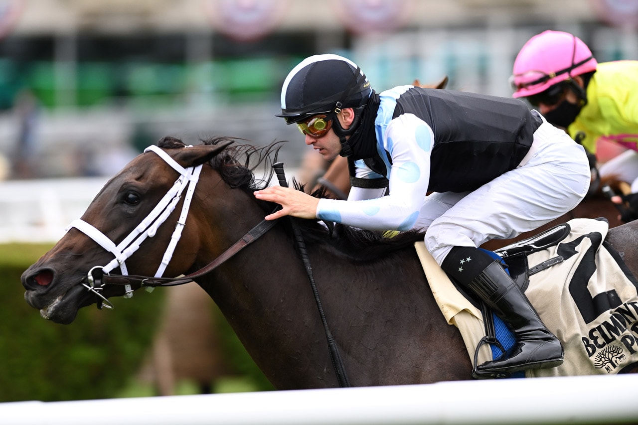 alternative text