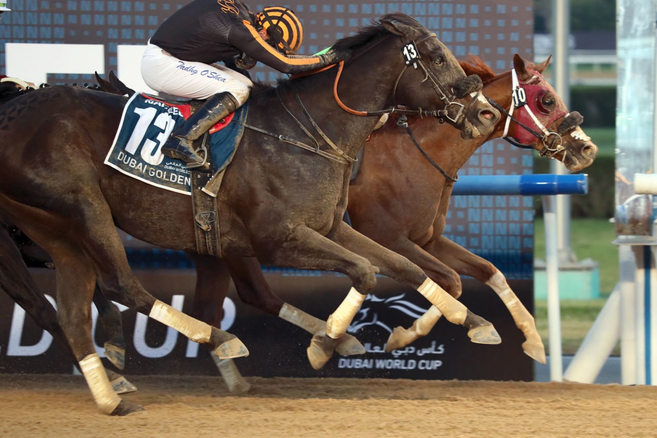 alternative text