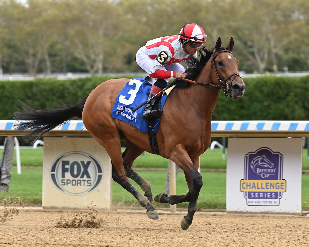 Randomized made it look easy in the 2023 Beldame at Aqueduc