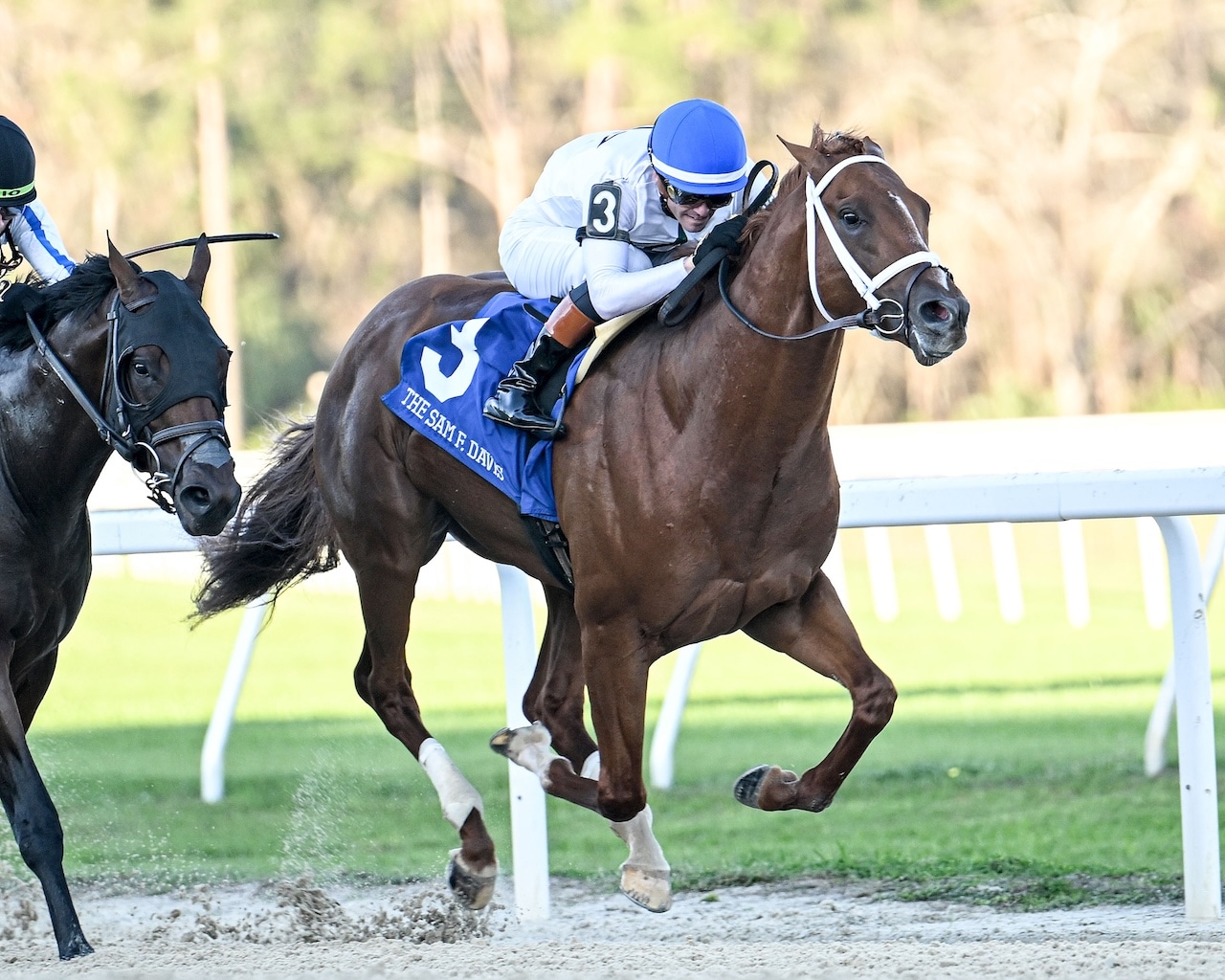 John Hancock draws rail in Louisiana Derby; Good Cheer 4-5 in Fair Grounds Oaks