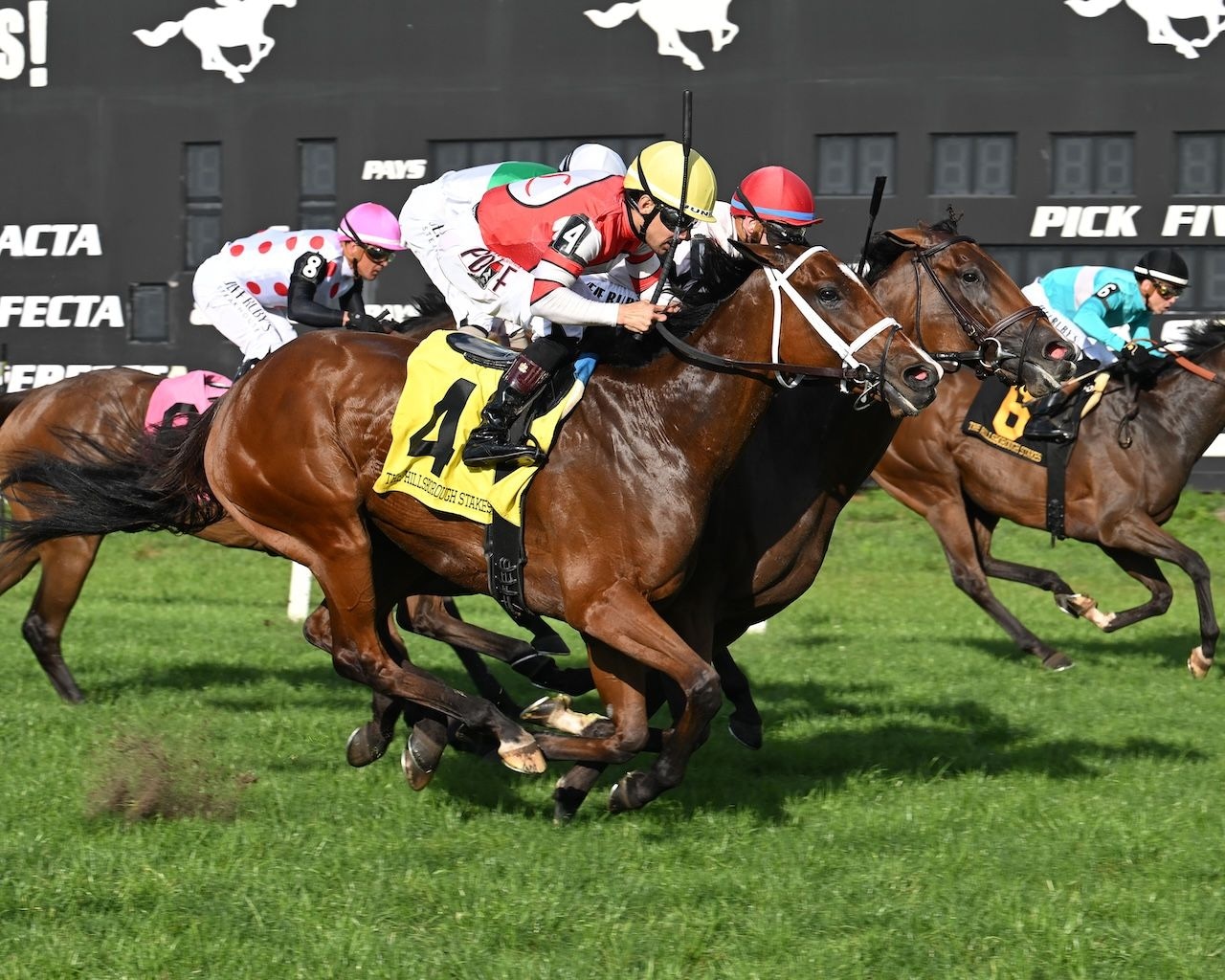Destino d’Oro gets up in Hillsborough; Disruptor upends Challenger favorite
