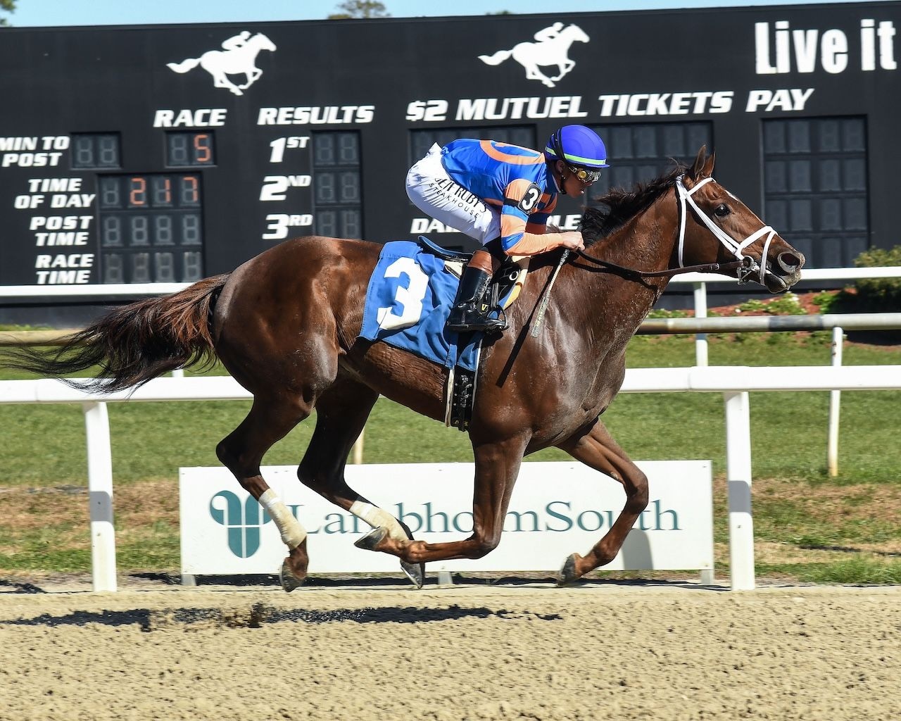 Zany remains unbeaten in Suncoast Stakes