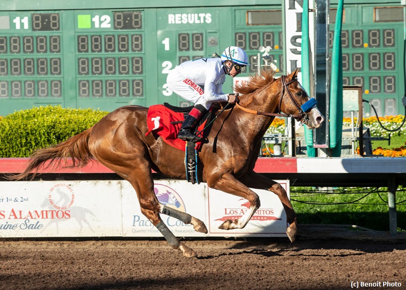 Get To Know The 2019 Kentucky Derby Contenders - Brisnet