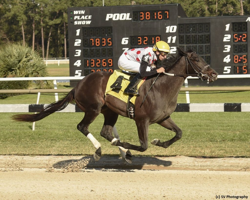 Get To Know The 2019 Kentucky Derby Contenders - Brisnet