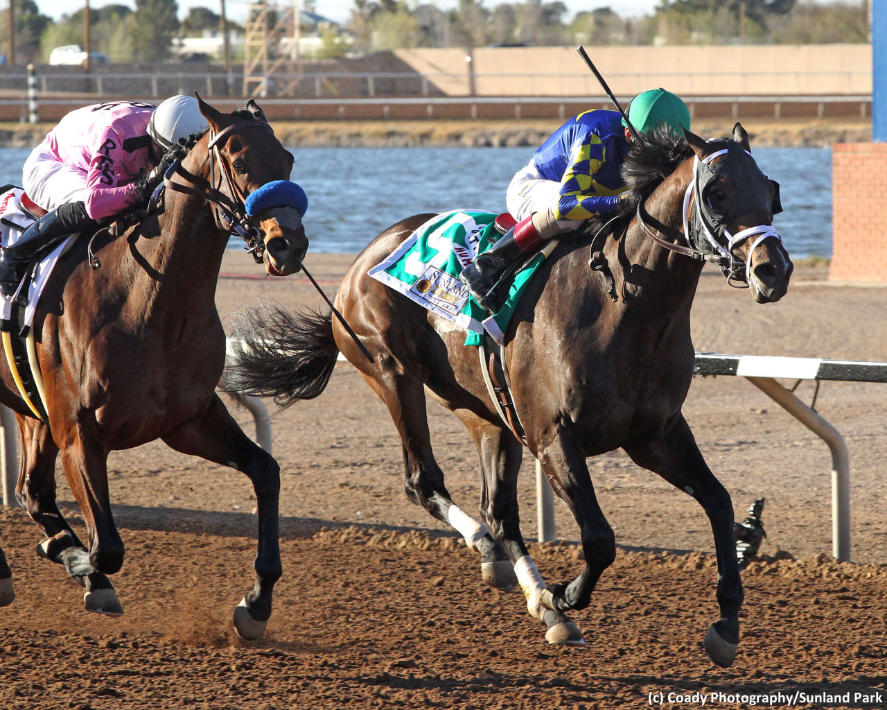 Get To Know The 2019 Kentucky Derby Contenders - Brisnet