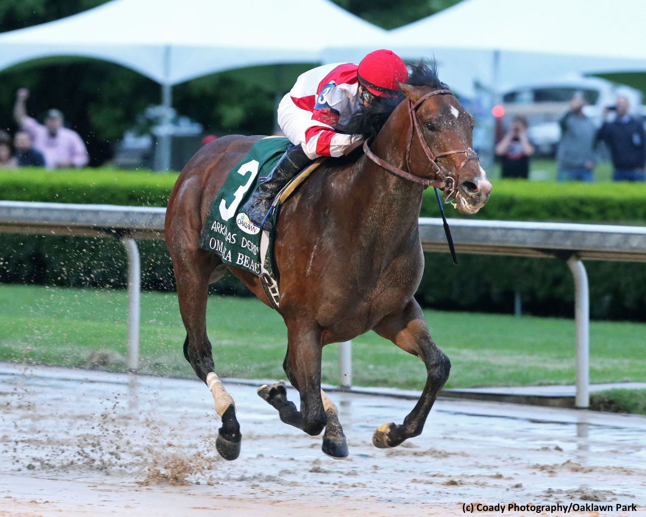 Get To Know The 2019 Kentucky Derby Contenders - Brisnet