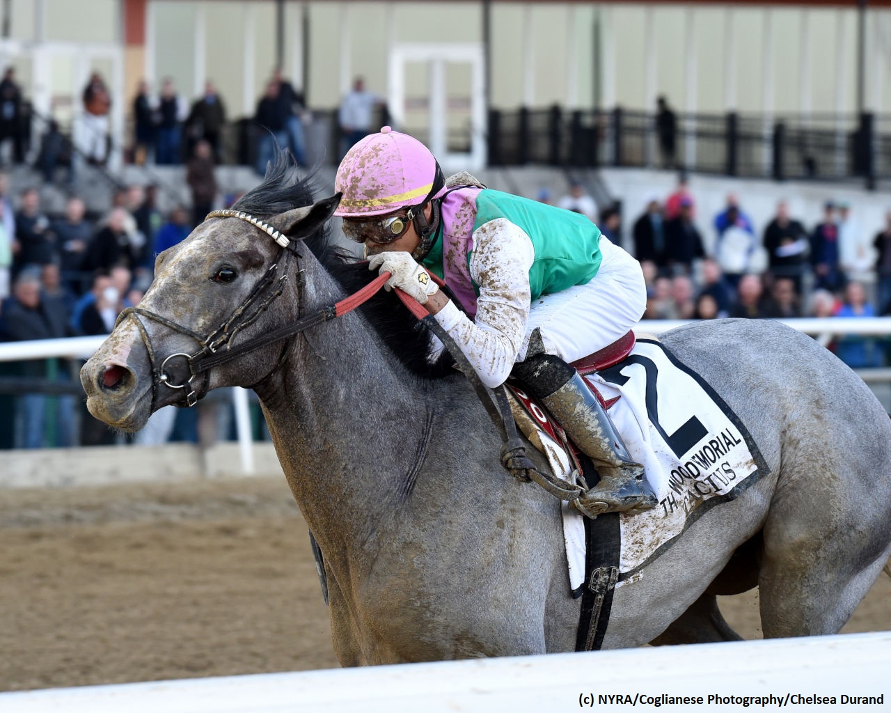 Get To Know The 2019 Kentucky Derby Contenders - Brisnet