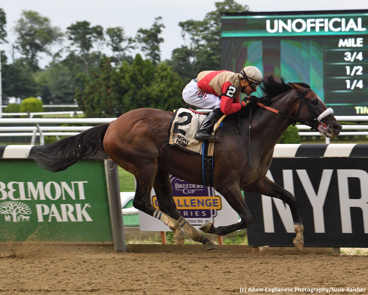 preservationist-romps-to-stakes-debut-win-in-suburban-brisnet