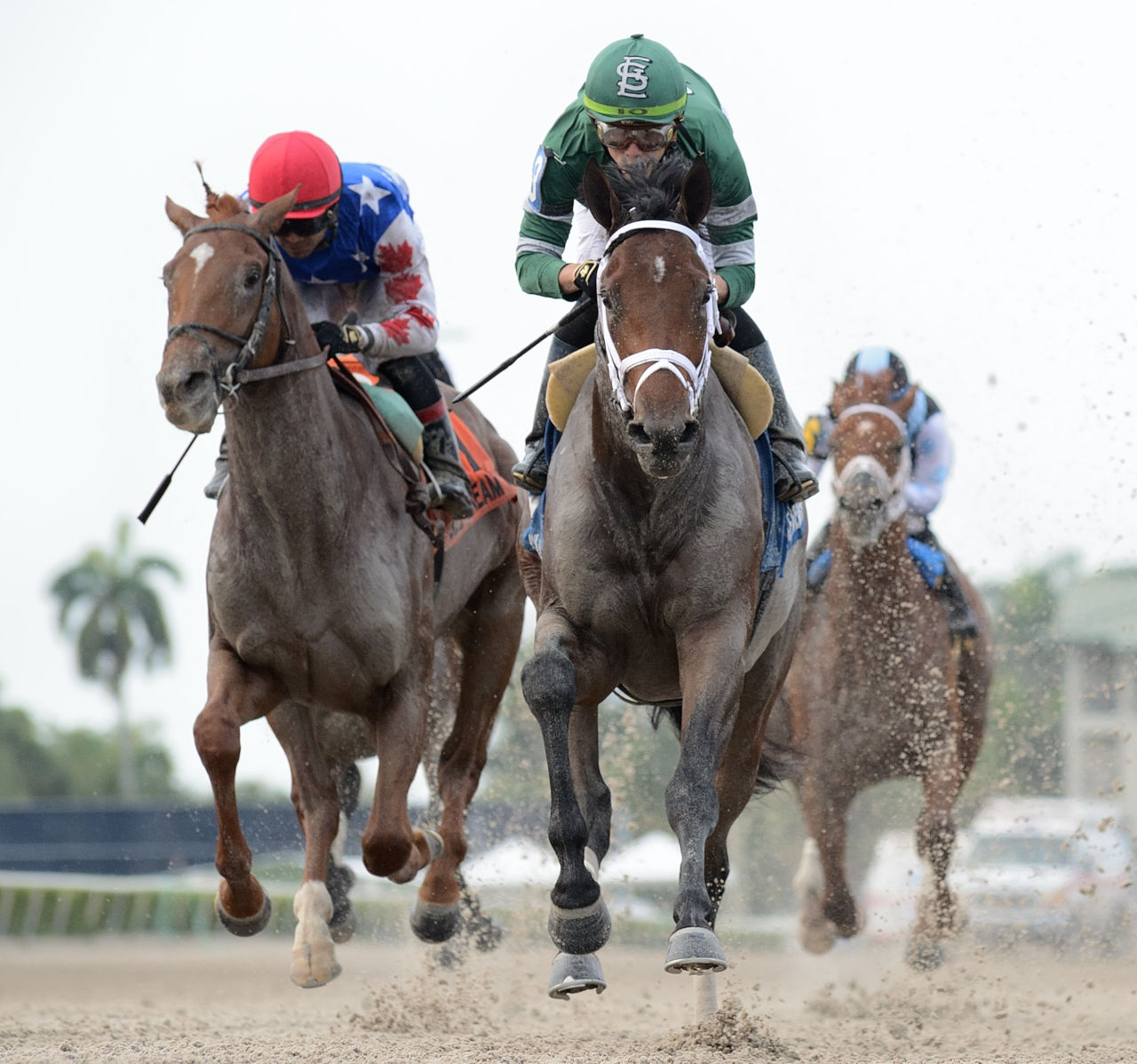 Get To Know The 2020 Kentucky Derby Contenders - Brisnet