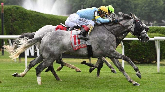 The Grey Wizard wins the Belmont Gold Cup at Belmont at Saratoga