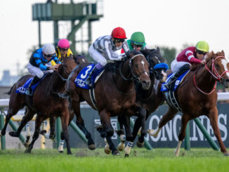 Do Deuce edges Durezza (center) and Shin Emperor (right) in the Japan Cup (Photo by Tomoya