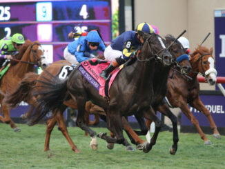 More Than Looks mows them down late in the Breeders' Cup Mile