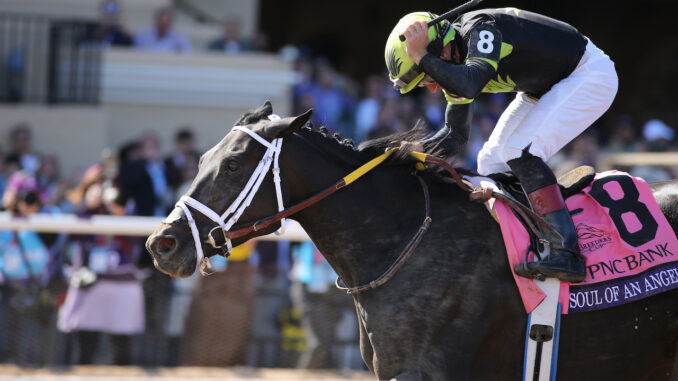 Soul of an Angel wins the Breeders Cup Filly and Mare Sprint at Del Mar.