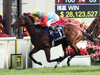 Ka Ying Rising passed his Group 1 trial by fire in the Hong Kong Sprint