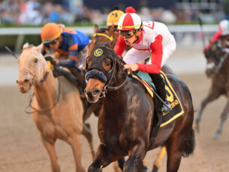 Mufasa worked out the best trip to beat slow-starting White Abarrio in the Mr. Prospector