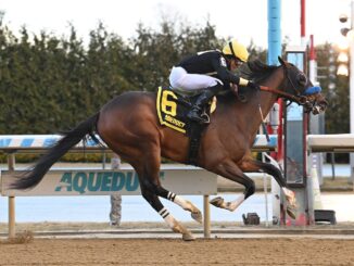 Cyclone State wins the Jerome S. at Aqueduct.