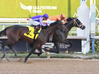 Guns Loaded wins the Mucho Macho Man S. at Gulfstream Park.