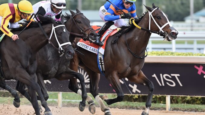 Mystic Lake wins the Inside Information S. at Gulfstream Park.