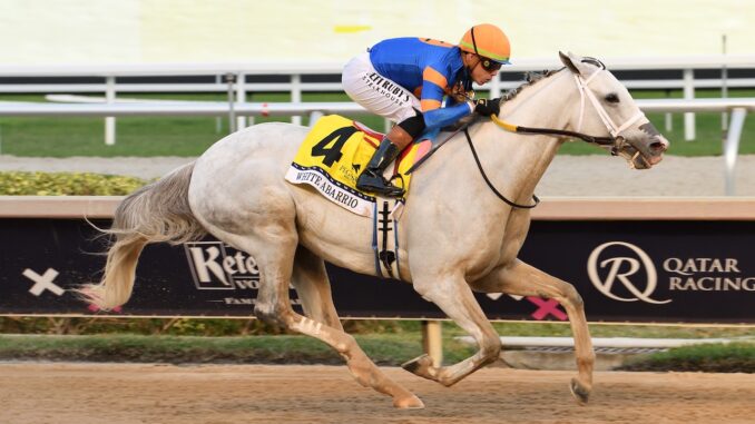 White Abarrio wins the Pegasus World Cup Invitational at Gulfstream Park.