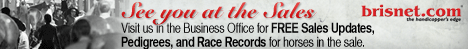 Visit us in the Business Office for Free Sales Updates, Pedigrees and Race Records.