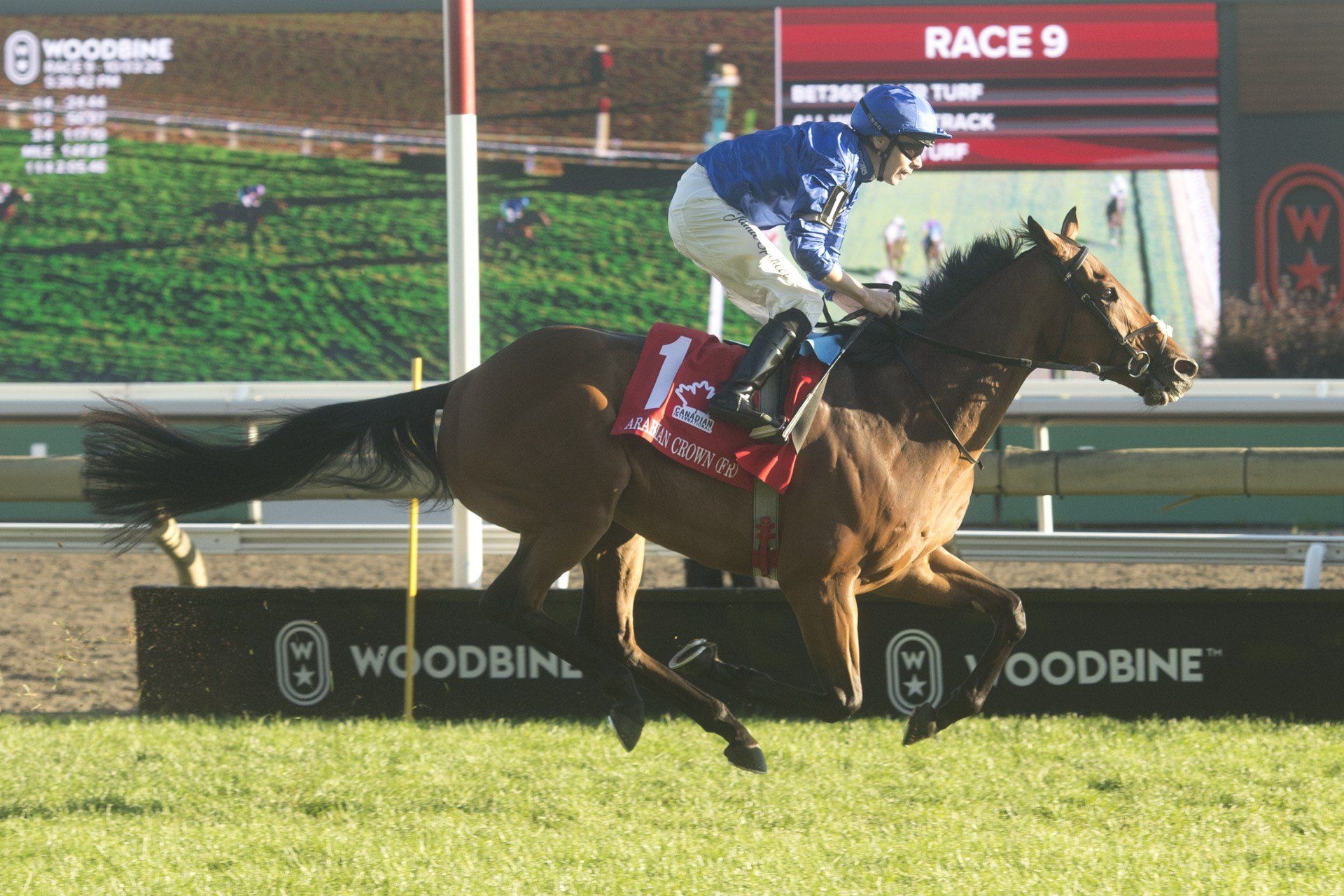 Arabian Crown much the best in Canadian International