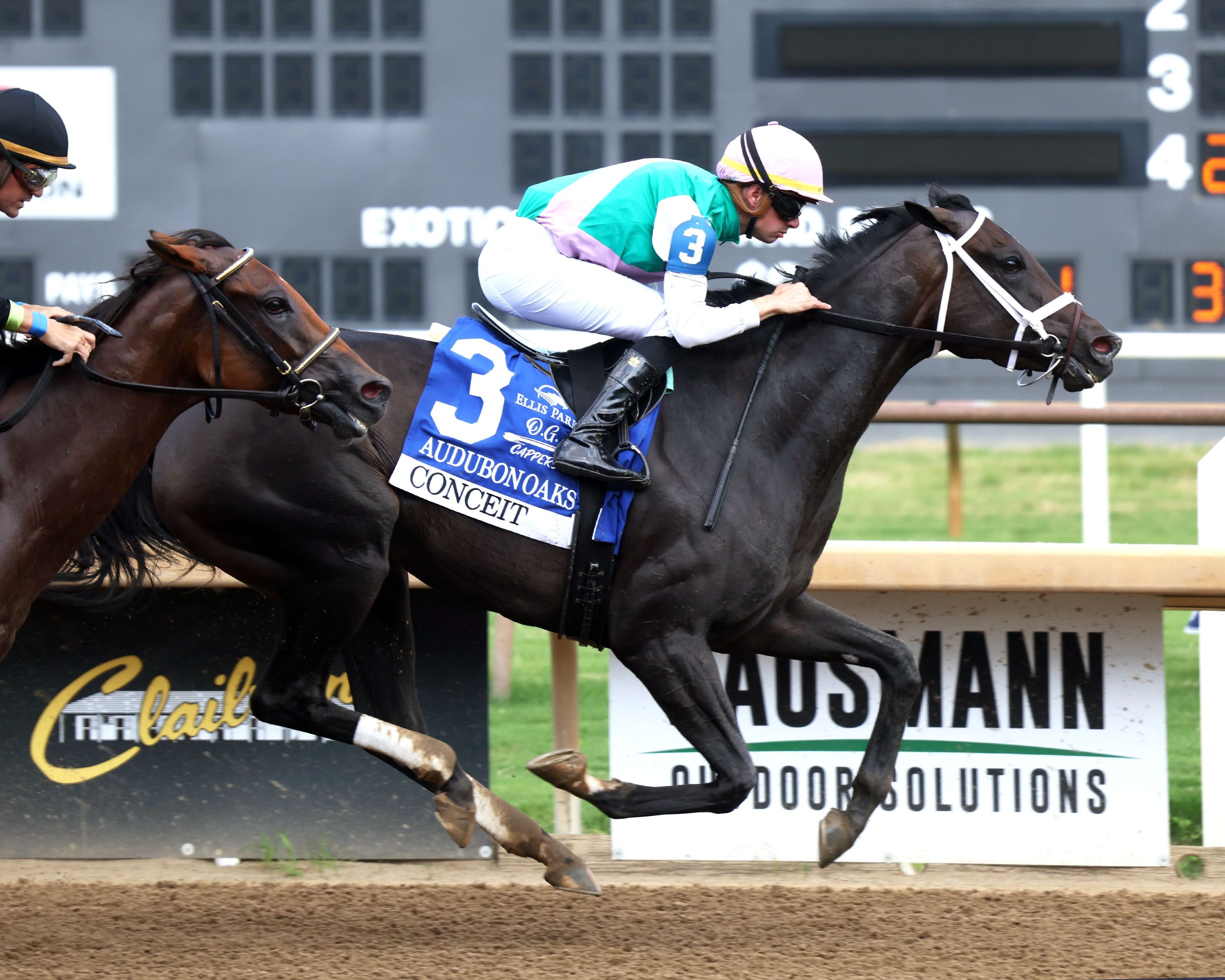 Conceit, Mashallah among dozen in Raven Run