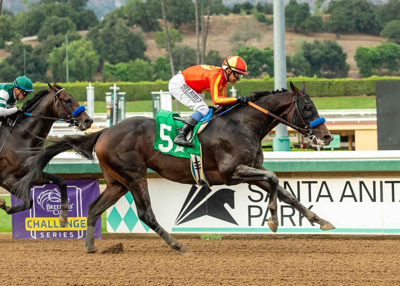 Nevada Beach holds class edge in Goodwood