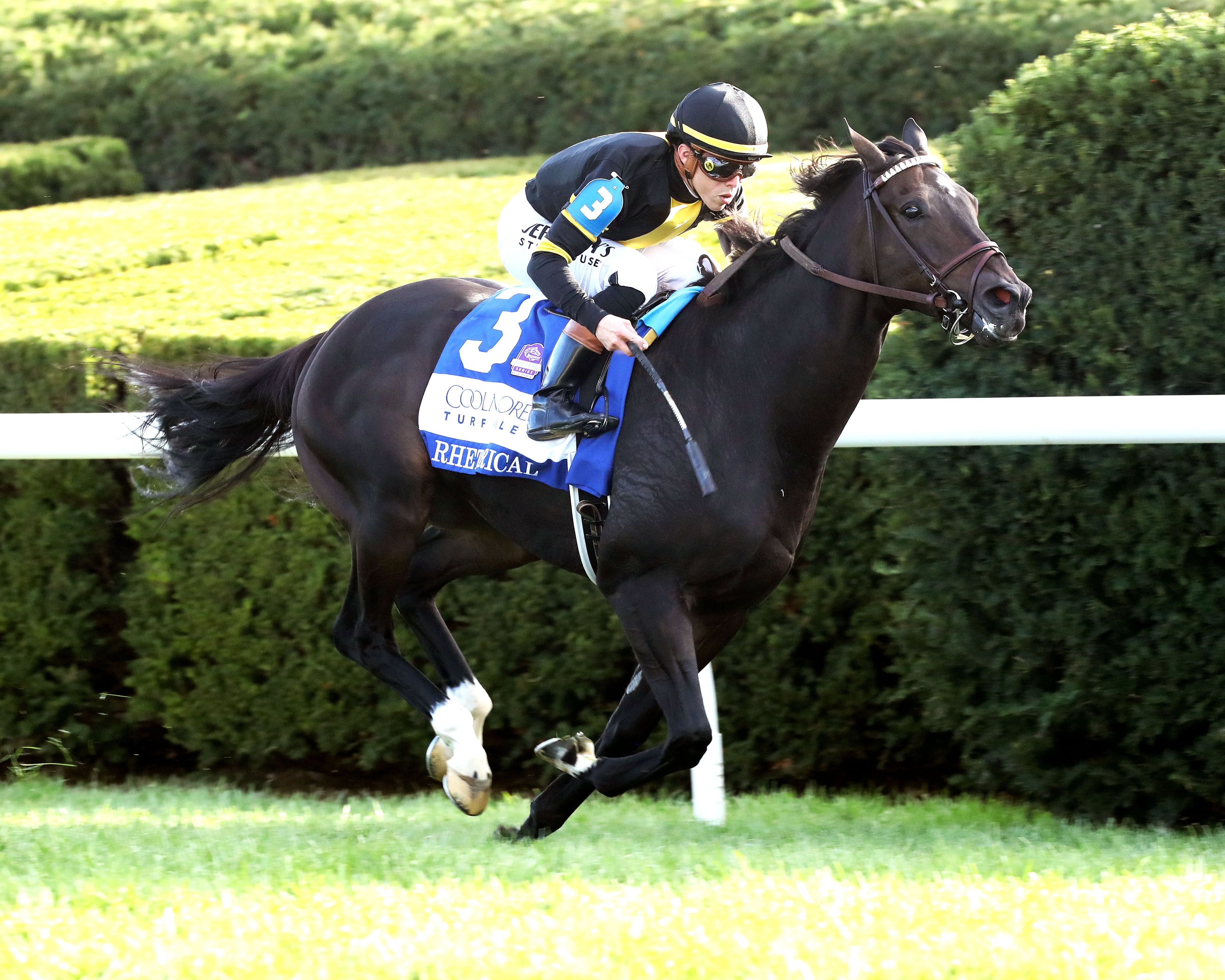 Rhetorical repeats in Coolmore Turf Mile; Classic Q nips Lips in First Lady