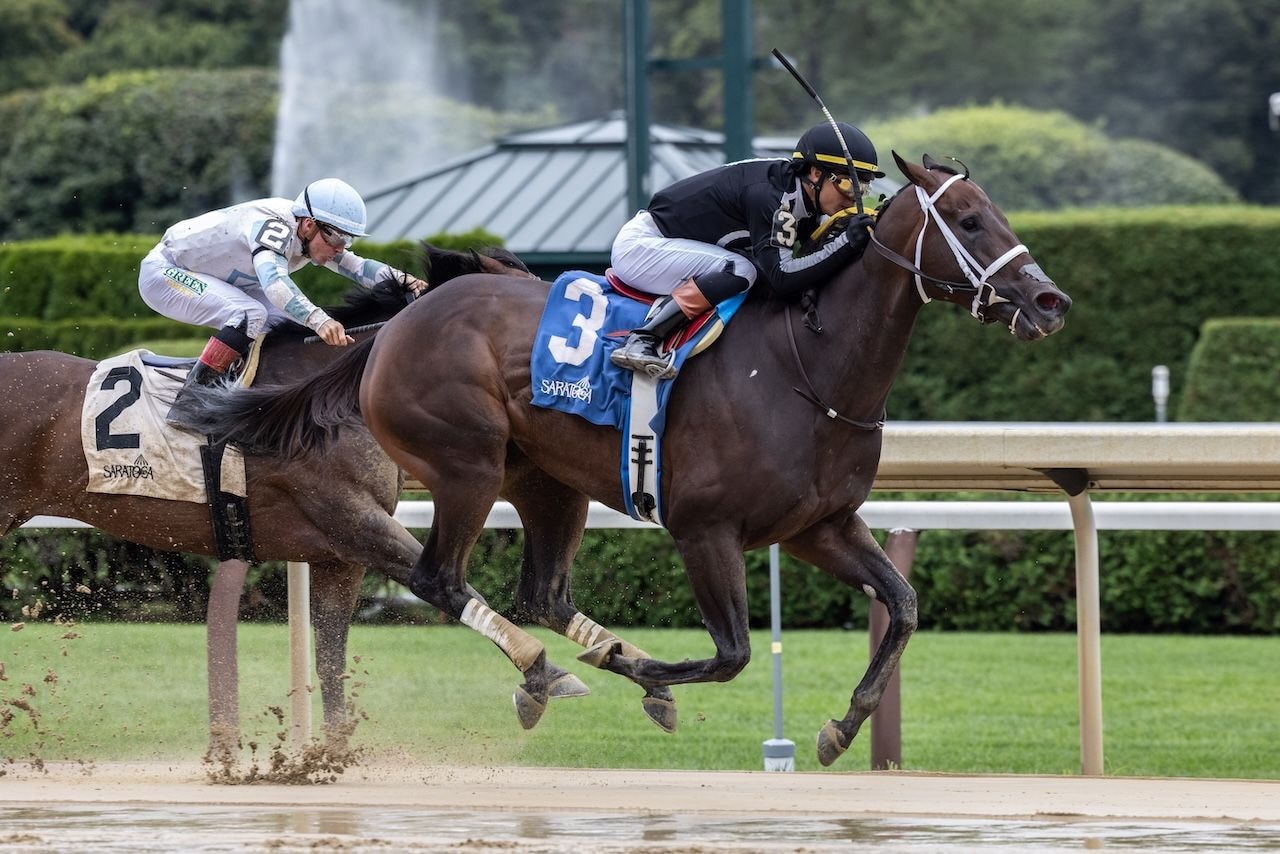 Ten vie for BC spot in Vosburgh; R Disaster tops Gallant Bloom