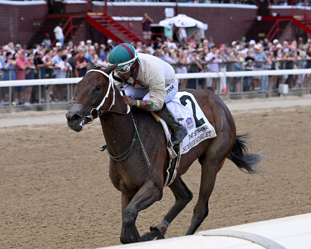 Summer Starlet looks to remain perfect in Alcibiades