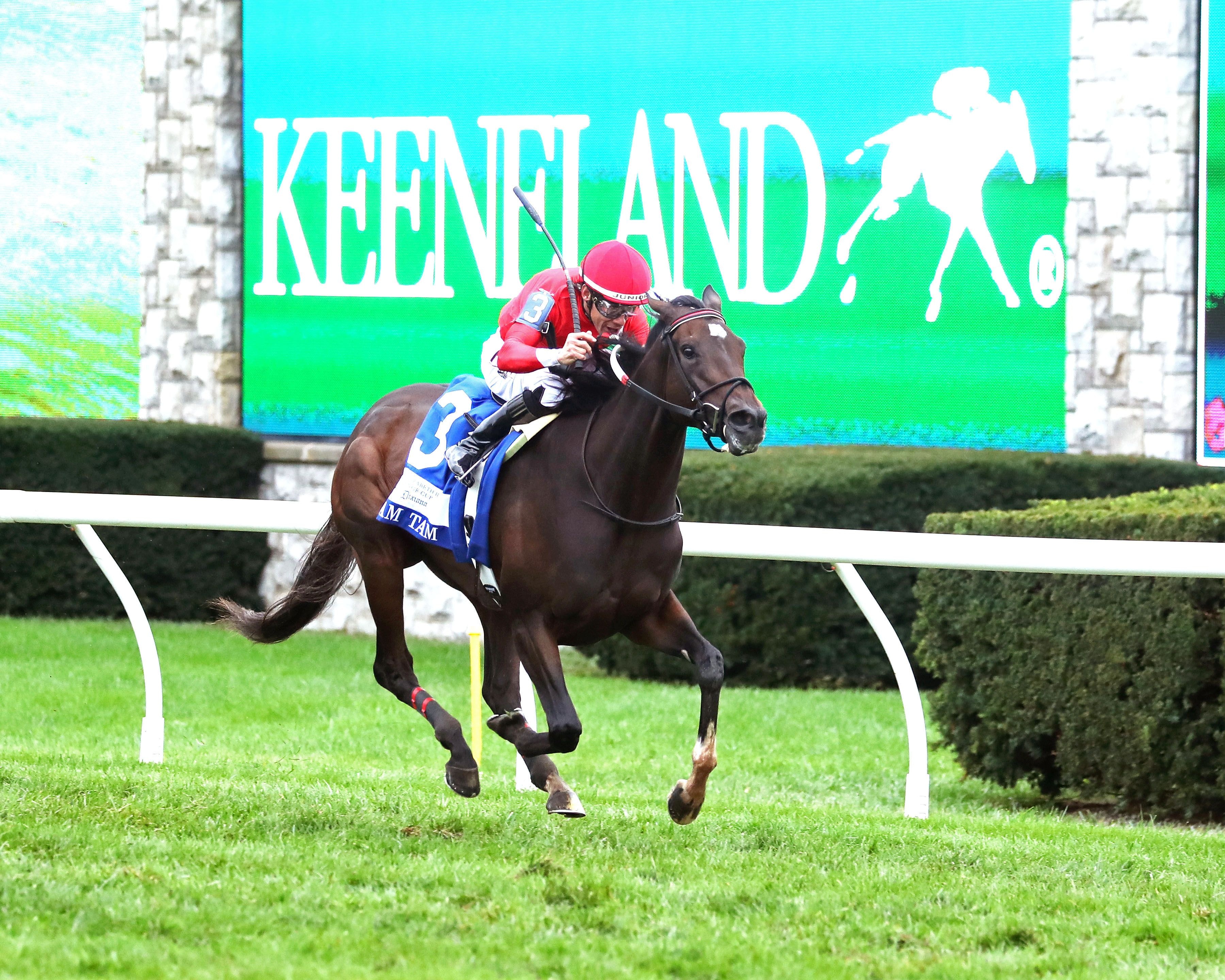 Tam Tam notches second Grade 1 in Queen Elizabeth II