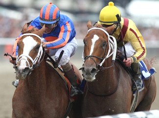 Street Sense, Curlin, Rags to Riches vie for 'NTRA Moment of the Year ...