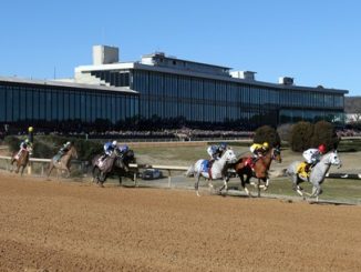 Oaklawn Park