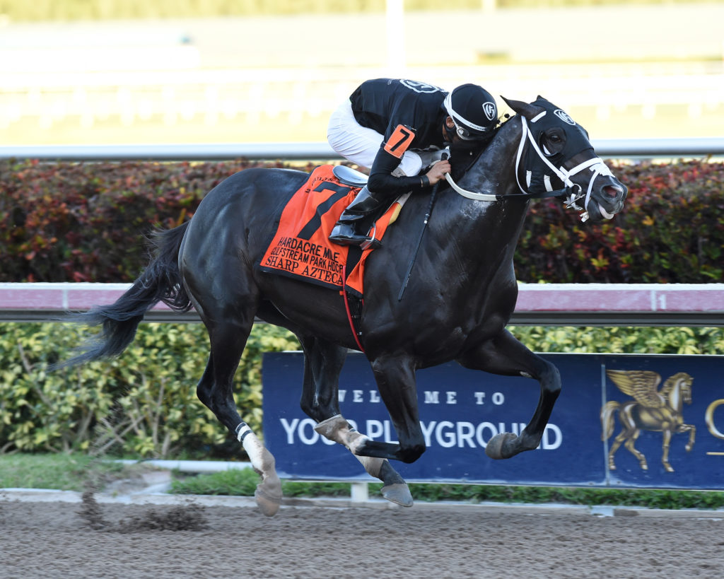 Sharp Azteca clashes with local star North America in Godolphin Mile ...