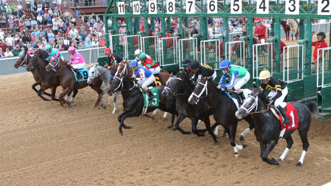 Malagacy at Oaklawn Park