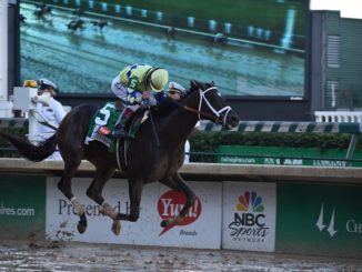 Jockey John Velazquez celebrates as Always Dreaming wins Kentucky Derby 143 on Saturday, May 6, 2017