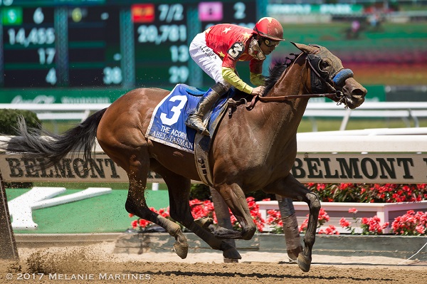 Abel Tasman slips up rail for Acorn victory - Brisnet