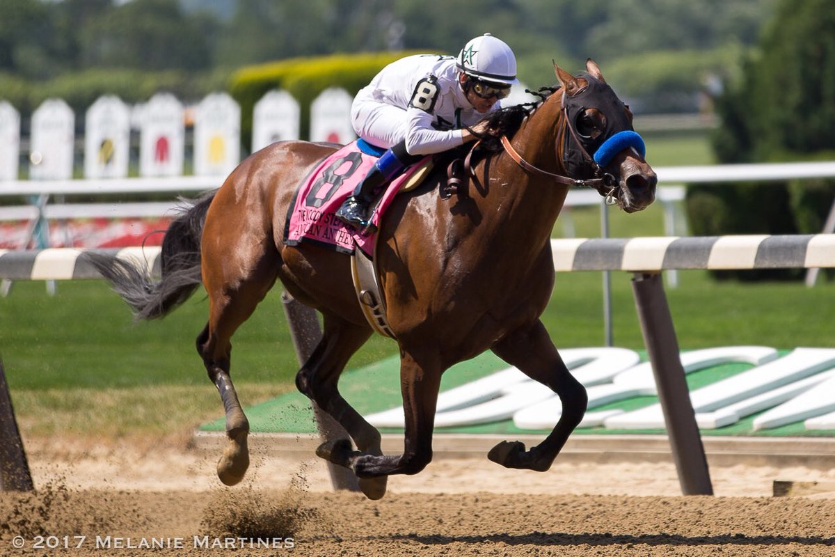 American Anthem heads Allen Jerkens Memorial - Brisnet