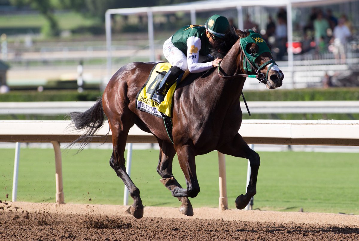 Bolt d'Oro electrifying in FrontRunner - Brisnet