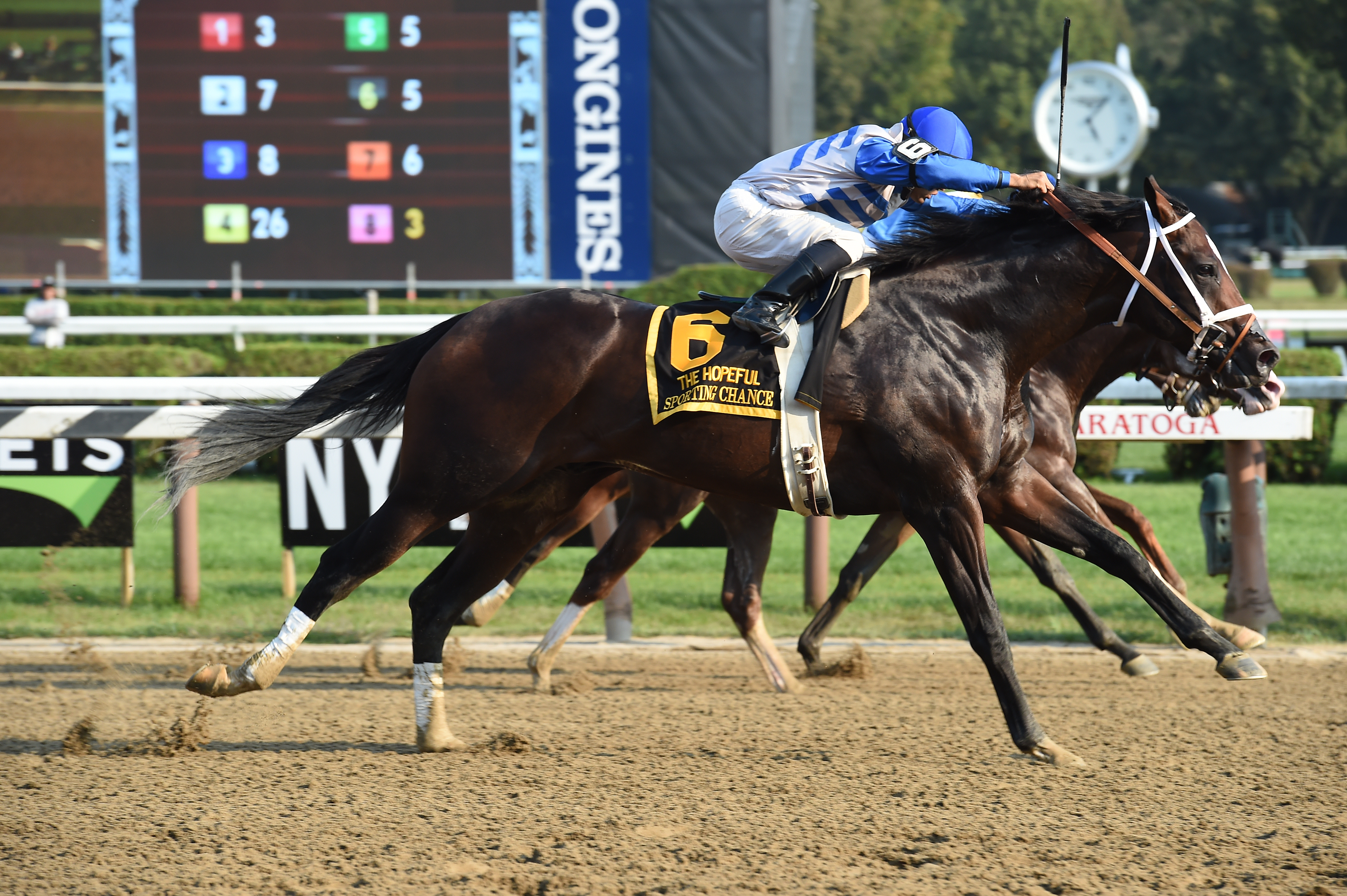 Sporting Chance turns in strong half-mile work - Brisnet