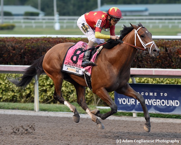 Kentucky Derby Report – Audible, Mendelssohn record impressive wins ...