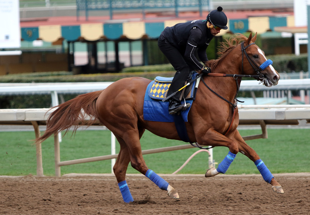 Kentucky Derby works: Hofburg ‘smooth’ at Churchill; Solomini ...