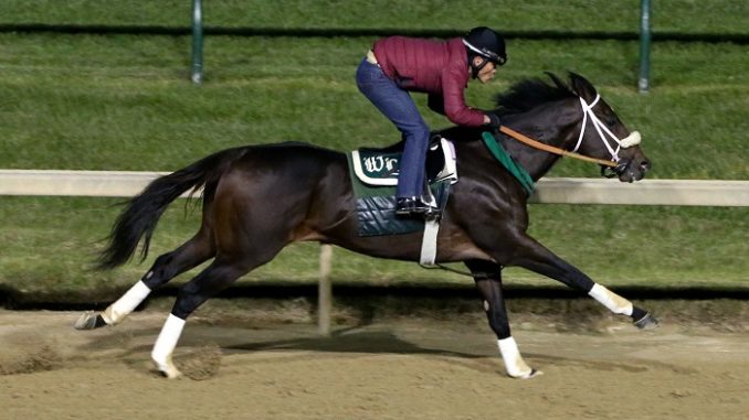 Bravazo at Churchill Downs