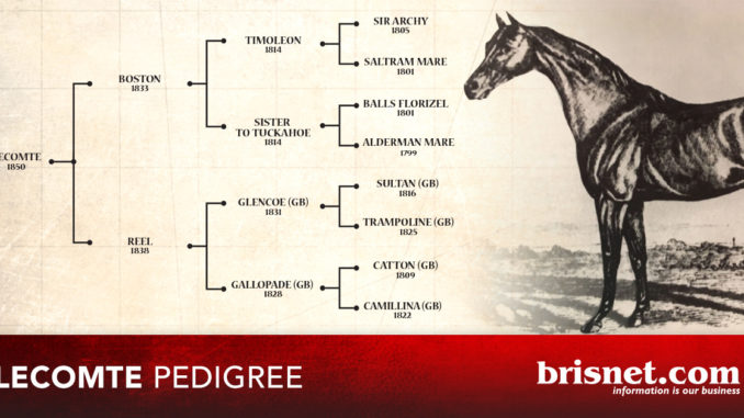 Lecomte Pedigree