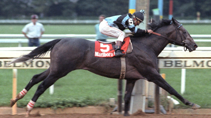 Spectacular Bid