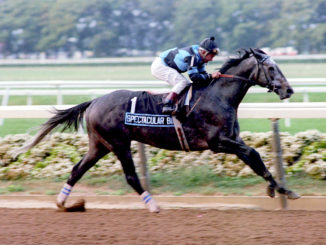 Spectacular Bid