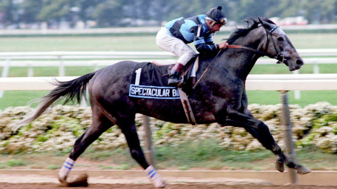 Spectacular Bid