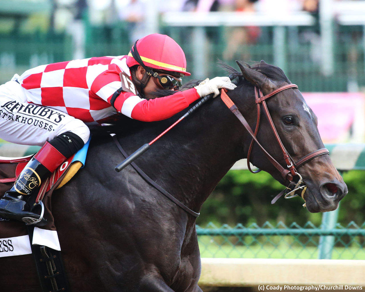 Serengeti Empress among Grade 1-winning trio in Houston Ladies Classic ...